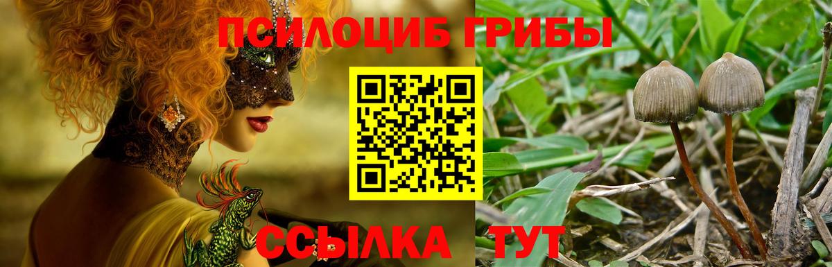Галлюциногенные грибы прущие грибы Сургут