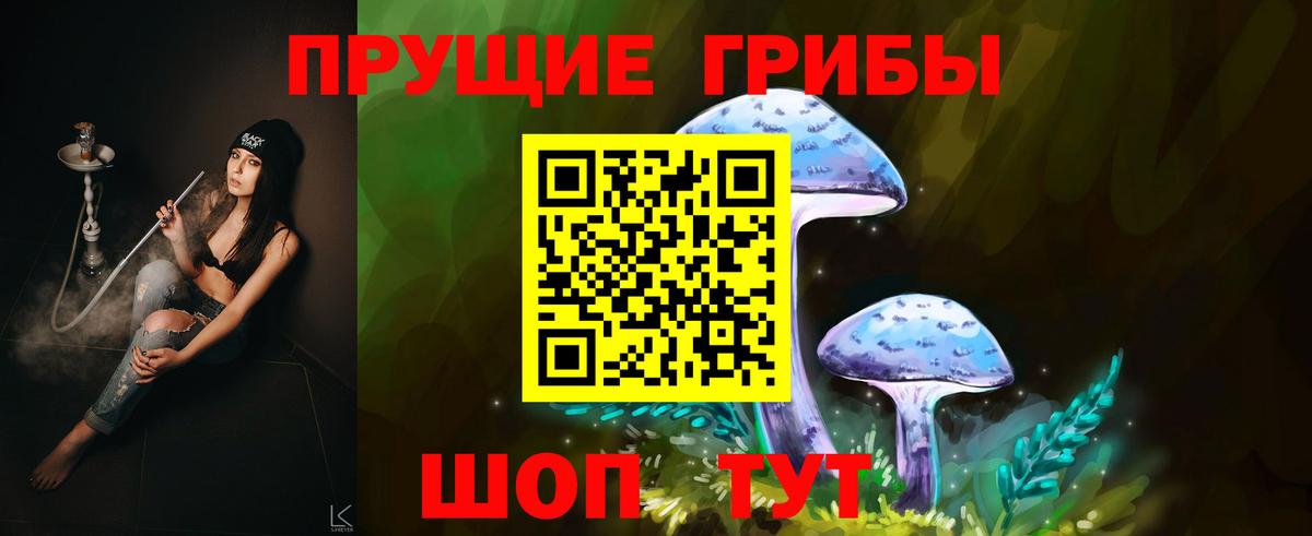 Сургут  Галлюциногенные грибы GOLDEN TEACHER  Галлюциногенные грибы ЛСД  Вход с VPN 